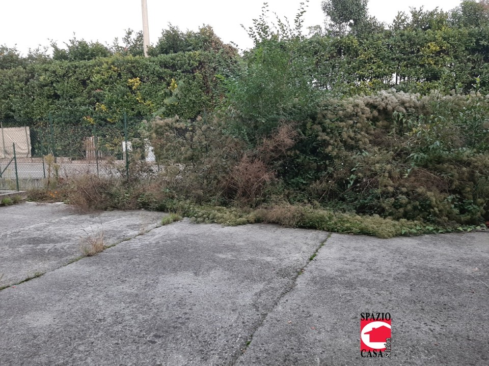 Appartamento COLLEBEATO vendita  Collebeato  Spazio Casa Solution srl